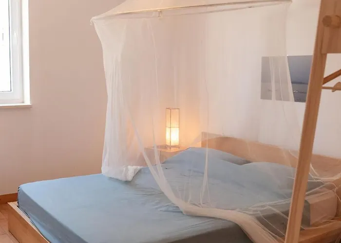 Luce Marina Petrcane